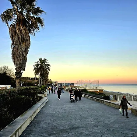 My * Savona